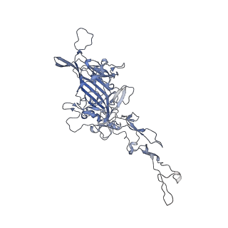 0535_6nxe_A_v1-2
Cryo-EM Reconstruction of Protease-Activateable Adeno-Associated Virus 9 (AAV9-L001)