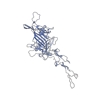 0535_6nxe_A_v1-3
Cryo-EM Reconstruction of Protease-Activateable Adeno-Associated Virus 9 (AAV9-L001)