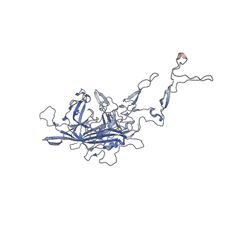 0535_6nxe_B_v1-2
Cryo-EM Reconstruction of Protease-Activateable Adeno-Associated Virus 9 (AAV9-L001)
