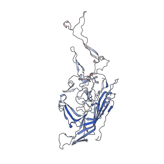 0535_6nxe_C_v1-2
Cryo-EM Reconstruction of Protease-Activateable Adeno-Associated Virus 9 (AAV9-L001)
