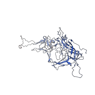 0535_6nxe_D_v1-3
Cryo-EM Reconstruction of Protease-Activateable Adeno-Associated Virus 9 (AAV9-L001)