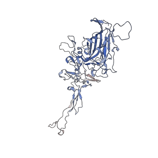 0535_6nxe_E_v1-2
Cryo-EM Reconstruction of Protease-Activateable Adeno-Associated Virus 9 (AAV9-L001)