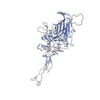 0535_6nxe_E_v1-3
Cryo-EM Reconstruction of Protease-Activateable Adeno-Associated Virus 9 (AAV9-L001)