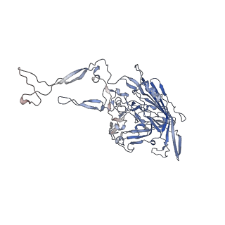 0535_6nxe_F_v1-3
Cryo-EM Reconstruction of Protease-Activateable Adeno-Associated Virus 9 (AAV9-L001)