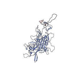 0535_6nxe_G_v1-2
Cryo-EM Reconstruction of Protease-Activateable Adeno-Associated Virus 9 (AAV9-L001)