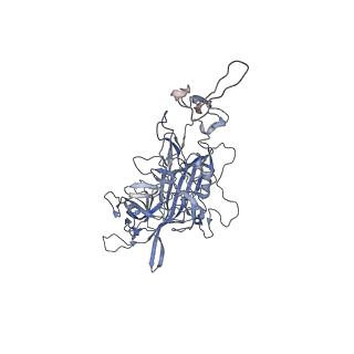 0535_6nxe_G_v1-3
Cryo-EM Reconstruction of Protease-Activateable Adeno-Associated Virus 9 (AAV9-L001)