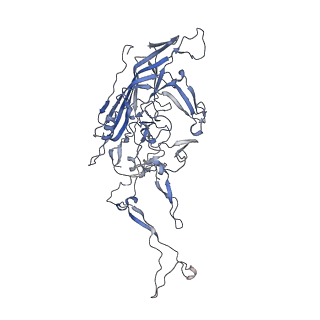 0535_6nxe_H_v1-2
Cryo-EM Reconstruction of Protease-Activateable Adeno-Associated Virus 9 (AAV9-L001)