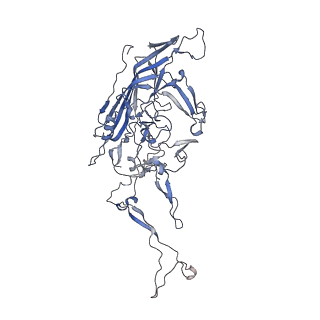 0535_6nxe_H_v1-3
Cryo-EM Reconstruction of Protease-Activateable Adeno-Associated Virus 9 (AAV9-L001)