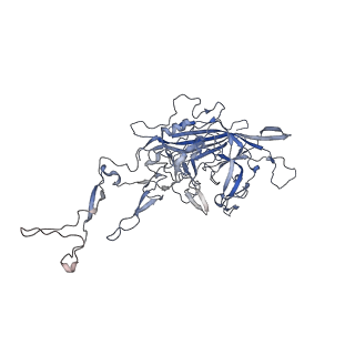 0535_6nxe_I_v1-2
Cryo-EM Reconstruction of Protease-Activateable Adeno-Associated Virus 9 (AAV9-L001)