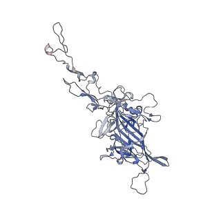 0535_6nxe_J_v1-2
Cryo-EM Reconstruction of Protease-Activateable Adeno-Associated Virus 9 (AAV9-L001)