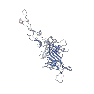 0535_6nxe_J_v1-3
Cryo-EM Reconstruction of Protease-Activateable Adeno-Associated Virus 9 (AAV9-L001)