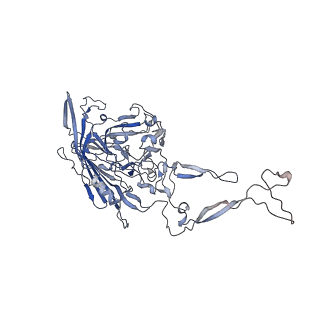 0535_6nxe_K_v1-2
Cryo-EM Reconstruction of Protease-Activateable Adeno-Associated Virus 9 (AAV9-L001)