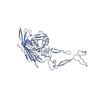 0535_6nxe_K_v1-3
Cryo-EM Reconstruction of Protease-Activateable Adeno-Associated Virus 9 (AAV9-L001)