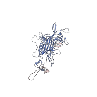 0535_6nxe_L_v1-3
Cryo-EM Reconstruction of Protease-Activateable Adeno-Associated Virus 9 (AAV9-L001)