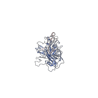 0535_6nxe_M_v1-2
Cryo-EM Reconstruction of Protease-Activateable Adeno-Associated Virus 9 (AAV9-L001)