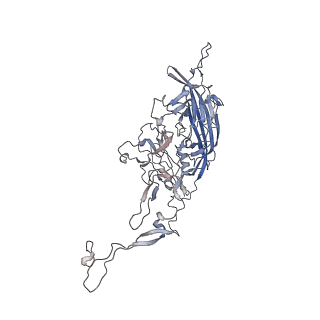 0535_6nxe_N_v1-2
Cryo-EM Reconstruction of Protease-Activateable Adeno-Associated Virus 9 (AAV9-L001)