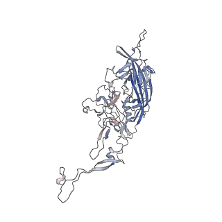 0535_6nxe_N_v1-3
Cryo-EM Reconstruction of Protease-Activateable Adeno-Associated Virus 9 (AAV9-L001)