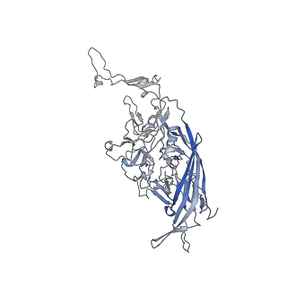 0535_6nxe_O_v1-2
Cryo-EM Reconstruction of Protease-Activateable Adeno-Associated Virus 9 (AAV9-L001)