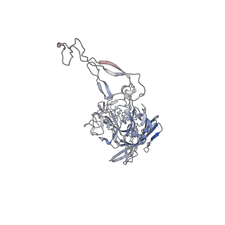 0535_6nxe_P_v1-3
Cryo-EM Reconstruction of Protease-Activateable Adeno-Associated Virus 9 (AAV9-L001)