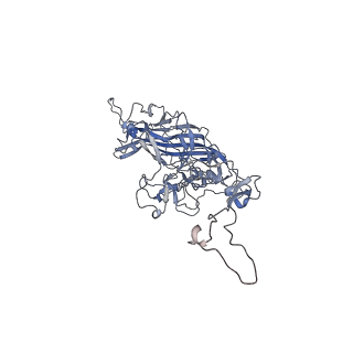 0535_6nxe_Q_v1-3
Cryo-EM Reconstruction of Protease-Activateable Adeno-Associated Virus 9 (AAV9-L001)