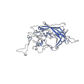 0535_6nxe_R_v1-3
Cryo-EM Reconstruction of Protease-Activateable Adeno-Associated Virus 9 (AAV9-L001)