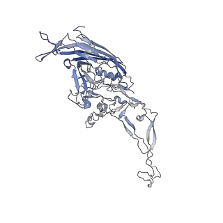 0535_6nxe_S_v1-2
Cryo-EM Reconstruction of Protease-Activateable Adeno-Associated Virus 9 (AAV9-L001)