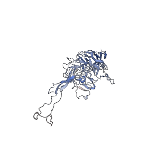 0535_6nxe_U_v1-2
Cryo-EM Reconstruction of Protease-Activateable Adeno-Associated Virus 9 (AAV9-L001)