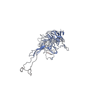 0535_6nxe_U_v1-3
Cryo-EM Reconstruction of Protease-Activateable Adeno-Associated Virus 9 (AAV9-L001)