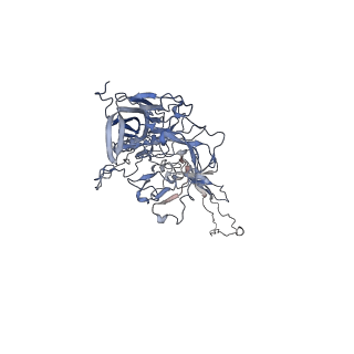 0535_6nxe_V_v1-2
Cryo-EM Reconstruction of Protease-Activateable Adeno-Associated Virus 9 (AAV9-L001)