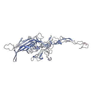 0535_6nxe_W_v1-2
Cryo-EM Reconstruction of Protease-Activateable Adeno-Associated Virus 9 (AAV9-L001)