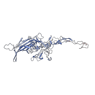 0535_6nxe_W_v1-3
Cryo-EM Reconstruction of Protease-Activateable Adeno-Associated Virus 9 (AAV9-L001)