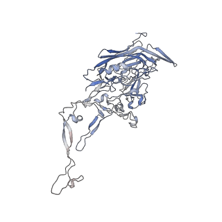 0535_6nxe_X_v1-2
Cryo-EM Reconstruction of Protease-Activateable Adeno-Associated Virus 9 (AAV9-L001)