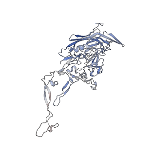 0535_6nxe_X_v1-3
Cryo-EM Reconstruction of Protease-Activateable Adeno-Associated Virus 9 (AAV9-L001)