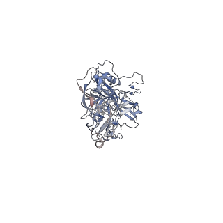 0535_6nxe_Y_v1-2
Cryo-EM Reconstruction of Protease-Activateable Adeno-Associated Virus 9 (AAV9-L001)