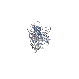 0535_6nxe_Y_v1-3
Cryo-EM Reconstruction of Protease-Activateable Adeno-Associated Virus 9 (AAV9-L001)