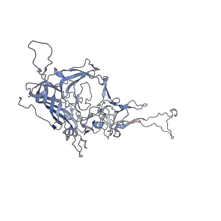 0535_6nxe_Z_v1-2
Cryo-EM Reconstruction of Protease-Activateable Adeno-Associated Virus 9 (AAV9-L001)