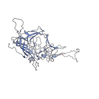 0535_6nxe_Z_v1-3
Cryo-EM Reconstruction of Protease-Activateable Adeno-Associated Virus 9 (AAV9-L001)