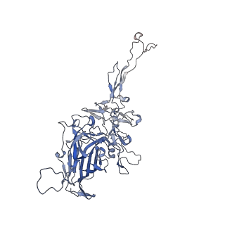 0535_6nxe_a_v1-2
Cryo-EM Reconstruction of Protease-Activateable Adeno-Associated Virus 9 (AAV9-L001)