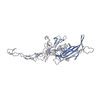 0535_6nxe_b_v1-2
Cryo-EM Reconstruction of Protease-Activateable Adeno-Associated Virus 9 (AAV9-L001)