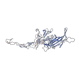 0535_6nxe_b_v1-3
Cryo-EM Reconstruction of Protease-Activateable Adeno-Associated Virus 9 (AAV9-L001)