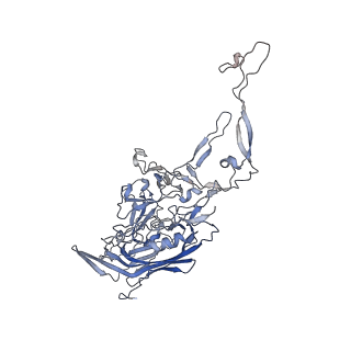 0535_6nxe_c_v1-2
Cryo-EM Reconstruction of Protease-Activateable Adeno-Associated Virus 9 (AAV9-L001)