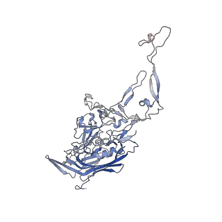 0535_6nxe_c_v1-3
Cryo-EM Reconstruction of Protease-Activateable Adeno-Associated Virus 9 (AAV9-L001)