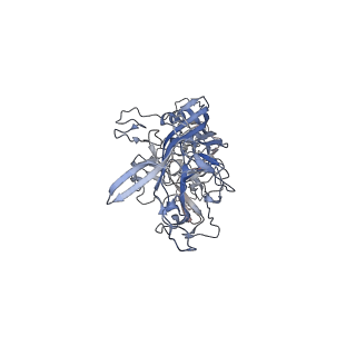 0535_6nxe_d_v1-2
Cryo-EM Reconstruction of Protease-Activateable Adeno-Associated Virus 9 (AAV9-L001)