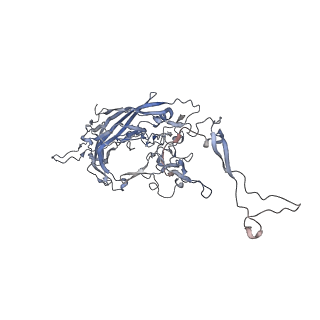 0535_6nxe_e_v1-3
Cryo-EM Reconstruction of Protease-Activateable Adeno-Associated Virus 9 (AAV9-L001)