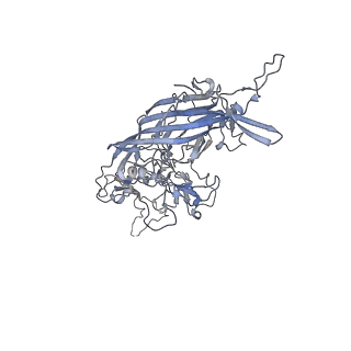 0535_6nxe_f_v1-2
Cryo-EM Reconstruction of Protease-Activateable Adeno-Associated Virus 9 (AAV9-L001)