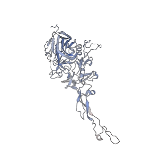 0535_6nxe_g_v1-2
Cryo-EM Reconstruction of Protease-Activateable Adeno-Associated Virus 9 (AAV9-L001)