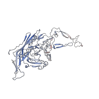 0535_6nxe_h_v1-2
Cryo-EM Reconstruction of Protease-Activateable Adeno-Associated Virus 9 (AAV9-L001)