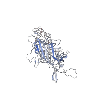 0535_6nxe_i_v1-3
Cryo-EM Reconstruction of Protease-Activateable Adeno-Associated Virus 9 (AAV9-L001)