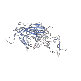 0535_6nxe_j_v1-2
Cryo-EM Reconstruction of Protease-Activateable Adeno-Associated Virus 9 (AAV9-L001)