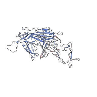 0535_6nxe_j_v1-3
Cryo-EM Reconstruction of Protease-Activateable Adeno-Associated Virus 9 (AAV9-L001)